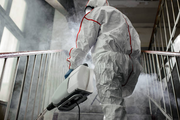 Best Forensic Mold Investigation  in Tton, IL